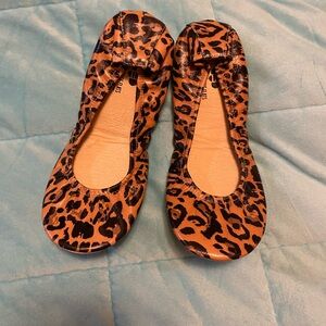 Seeing Spots Storehouse Flats